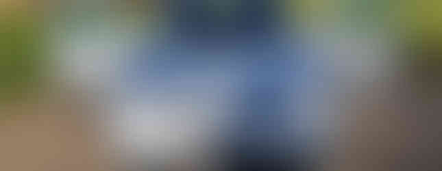 Import Auto Allemagne - Auto Convoi Allemagne - Volkswagen Golf 4 Pacific 1.6 16V 105ch