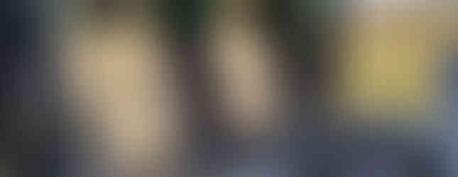 Import Auto Allemagne - Auto Convoi Allemagne - Volkswagen T5 Multivan Highline 3.2 V6 235ch