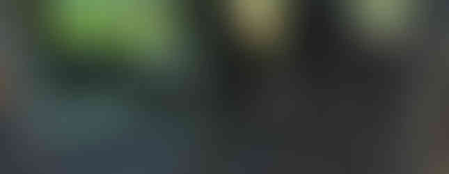 Import Auto Allemagne - Auto Convoi Allemagne - Ford Transit FT 300 K Nugget Euroline 2.2 TDCI 140ch