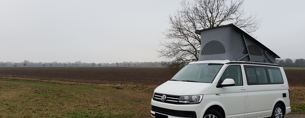 Import Auto Allemagne - Auto Convoi Allemagne - Volkswagen T6 California Ocean 2.0 TDI 150ch