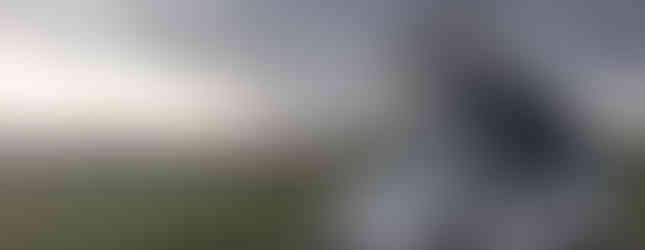 Import Auto Allemagne - Auto Convoi Allemagne - Mercedes Benz Viano Marco Polo 3.0 V6 CDI 224ch