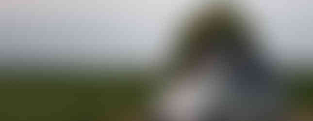 Import Auto Allemagne - Auto Convoi Allemagne - Mercedes Benz Viano Marco Polo 2.2 CDI 163ch