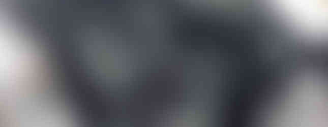 Import Auto Allemagne - Auto Convoi Allemagne - Nissan 350Z Platinum 3.5 V6 280ch