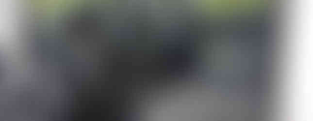 Import Auto Allemagne - Auto Convoi Allemagne - Mercedes Benz Viano Compact Fun 3.0 V6 CDI 204ch