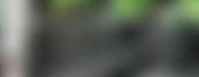 Import Auto Allemagne - Auto Convoi Allemagne - Volkswagen T5 Multivan Startline 2.0 TDI 140ch