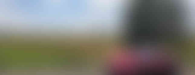 Import Auto Allemagne - Auto Convoi Allemagne - Mazda Mx-5 RF Selection 2.0 Skyactiv G-184ch