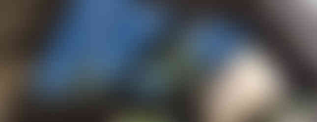 Import Auto Allemagne - Auto Convoi Allemagne - BMW X3 xDrive30d M Sport Edtion 258ch