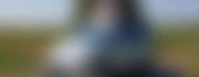 Import Auto Allemagne - Auto Convoi Allemagne - Volkswagen T5 Multivan Multistar Beach HMC 2.5 TDI 131ch