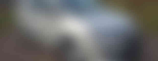 Import Auto Allemagne - Auto Convoi Allemagne - Volkswagen Sharan Highline 2.0 TSI 200ch