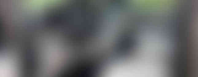 Import Auto Allemagne - Auto Convoi Allemagne - Mercedes Benz V 220 CDI long Avantgarde 163ch