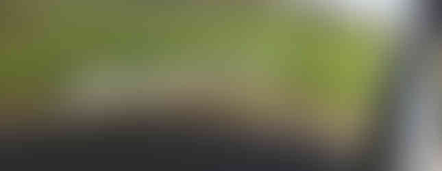 Import Auto Allemagne - Auto Convoi Allemagne - BMW X4 xDrive20d xLine 190ch