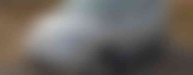 Import Auto Allemagne - Auto Convoi Allemagne - Volkswagen T5 Multivan Confortline 2.5 TDI 131ch