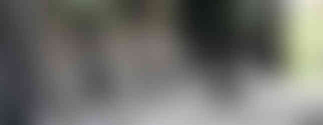 Import Auto Allemagne - Auto Convoi Allemagne - Mercedes Benz V 220 CDI long Avantgarde 163ch