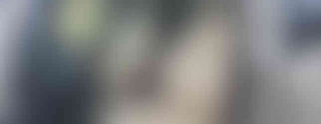 Import Auto Allemagne - Auto Convoi Allemagne - Mercedes Benz Viano long Ambiente 3.0 V6 CDI 204ch