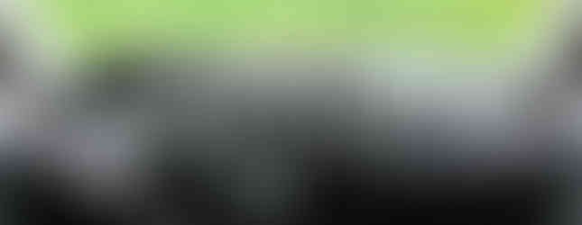 Import Auto Allemagne - Auto Convoi Allemagne - Volkswagen T5 Multivan Startline 2.0 TDI 140ch