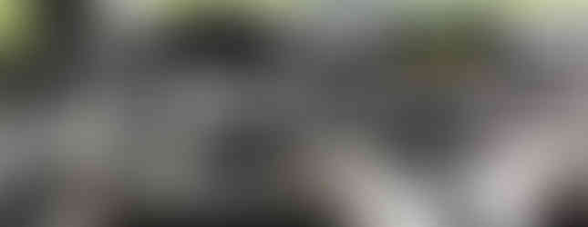 Import Auto Allemagne - Auto Convoi Allemagne - Mercedes Benz V 220 CDI long Avantgarde 163ch