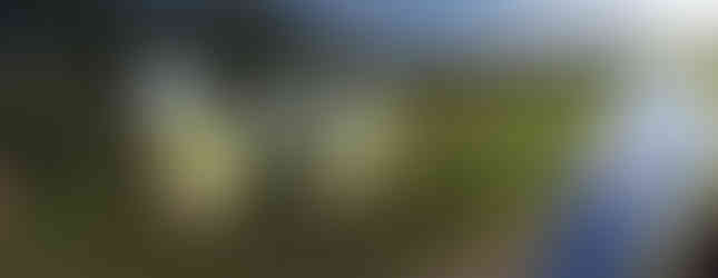 Import Auto Allemagne - Auto Convoi Allemagne - Mercedes Benz Viano long Ambiente 3.0 V6 CDI 224ch