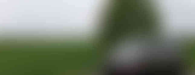 Import Auto Allemagne - Auto Convoi Allemagne - Volkswagen T5 Multivan Highline 4motion 2.0 TDI 179ch