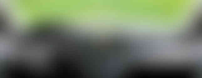 Import Auto Allemagne - Auto Convoi Allemagne - Volkswagen T5 Multivan Highline 4motion 2.0 TDI 179ch