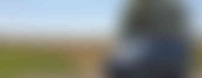 Import Auto Allemagne - Auto Convoi Allemagne - Volkswagen T6 Multivan Confortline 2.0 TDI 150ch