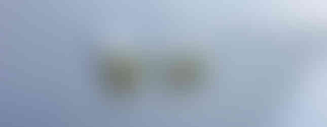 Import Auto Allemagne - Auto Convoi Allemagne - Mercedes Benz Viano Marco Polo 3.0 V6 CDI 224ch