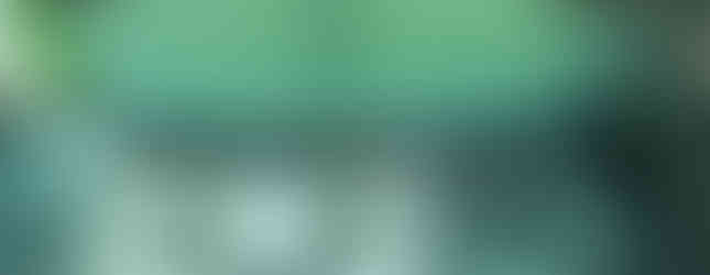 Import Auto Allemagne - Auto Convoi Allemagne - Volkswagen T5 California Europe 2.0 TDI 179ch