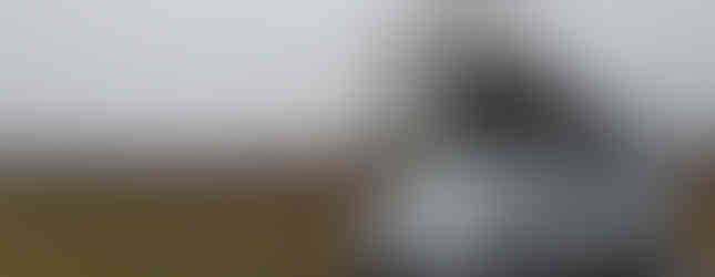 Import Auto Allemagne - Auto Convoi Allemagne - Volkswagen T4 California Generation 2.5 TDI 151ch