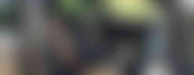 Import Auto Allemagne - Auto Convoi Allemagne - Volkswagen Sharan Highline 2.0 TSI 200ch