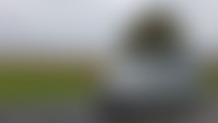 Volkswagen T6 Multivan Trendline 2.0 TDI 150ch