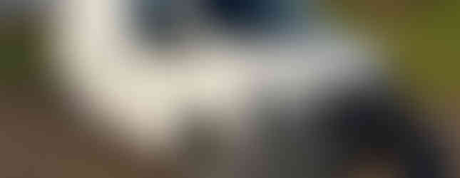 Import Auto Allemagne - Auto Convoi Allemagne - Volkswagen T5 Transporter 2.0 102ch