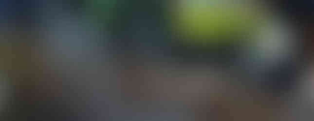 Import Auto Allemagne - Auto Convoi Allemagne - Volkswagen T5 Multivan Startline 2.0 TDI 131ch