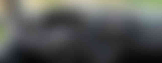 Import Auto Allemagne - Auto Convoi Allemagne - Volkswagen T5 Multivan Startline 1.9 TDI 102ch