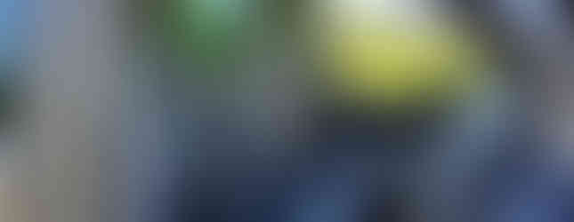 Import Auto Allemagne - Auto Convoi Allemagne - Volkswagen T5 California 2.0 TDI 140ch