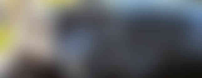 Import Auto Allemagne - Auto Convoi Allemagne - Volkswagen T5 Multivan Startline 1.9 TDI 102ch