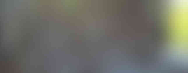 Import Auto Allemagne - Auto Convoi Allemagne - Mercedes Benz Viano long Trend Edition 2.2 CDI 163ch