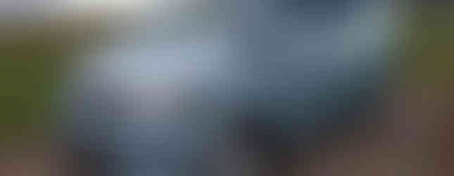 Import Auto Allemagne - Auto Convoi Allemagne - Volkswagen T5 Multivan Bluemotion 2.0 TDI 114ch