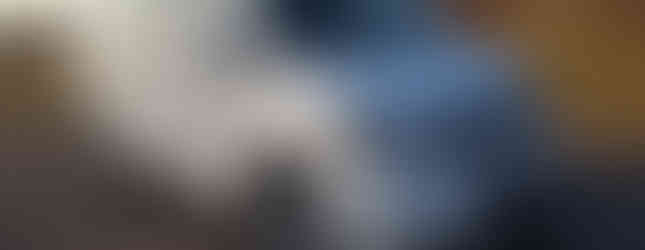 Import Auto Allemagne - Auto Convoi Allemagne - Volkswagen T5 Multivan Match 2.0 TDI 140ch