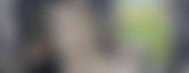 Import Auto Allemagne - Auto Convoi Allemagne - Mercedes Benz Viano long Ambiente 3.0 V6 CDI 204ch