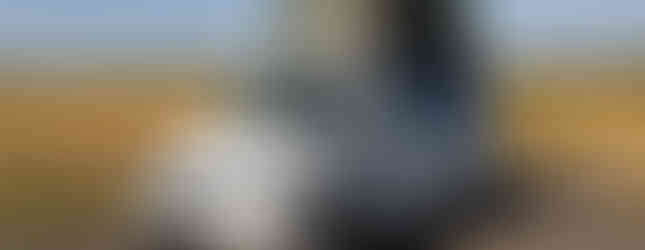 Import Auto Allemagne - Auto Convoi Allemagne - Volkswagen T5 California Generation 2.0 TDI 179ch