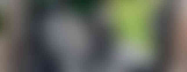 Import Auto Allemagne - Auto Convoi Allemagne - Volkswagen T5 Multivan Highline 4motion 2.0 TDI 179ch