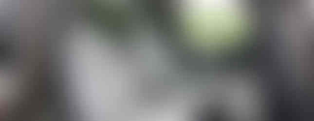 Import Auto Allemagne - Auto Convoi Allemagne - Mercedes Benz V 220 CDI long Avantgarde 163ch