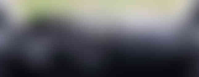 Import Auto Allemagne - Auto Convoi Allemagne - Volkswagen T5 Multivan Bluemotion 2.0 TDI 114ch