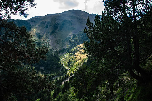 Copia de DSC_0502 (1).jpg