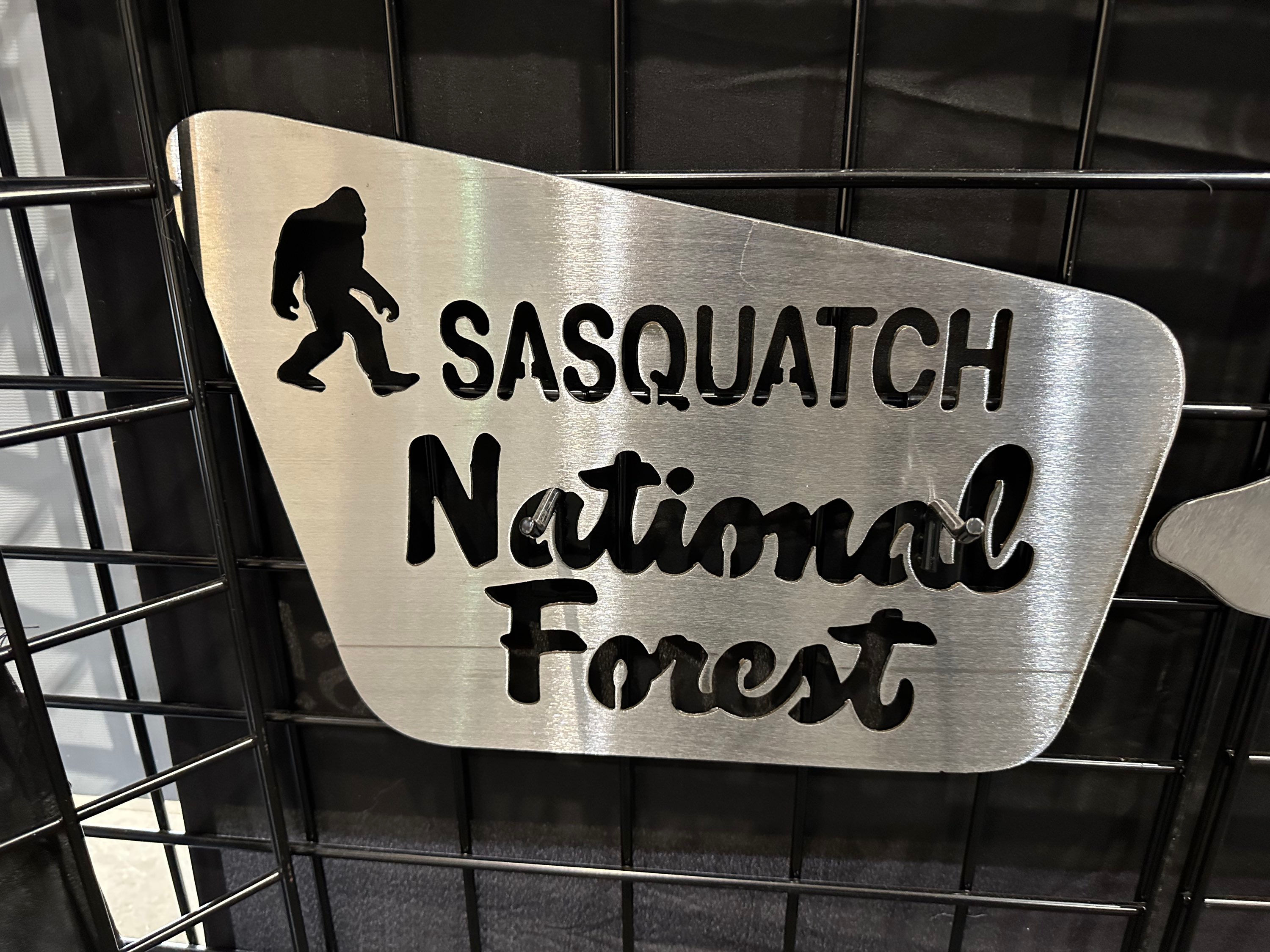 Sasquatch national forest