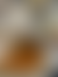 Vinho na Mooca – onde tradição, novos bares e boas histórias se encontram