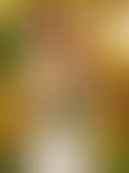 Mocidade Unida da Mooca exalta mulher negra com Erika Hilton 'presidenta'