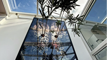 Exposição gratuita na Mooca une fotografias, fios e galhos de plantas em obras sobre memória e transformação