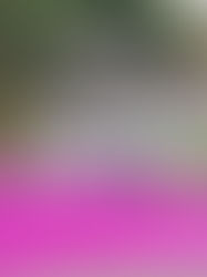 Começa a demolição do prédio da Imprensa Oficial