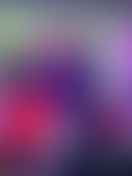 Museu da Imigração recebe festival de cultura japonesa