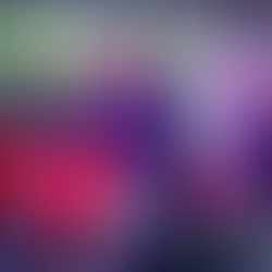 Museu da Imigração recebe festival de cultura japonesa